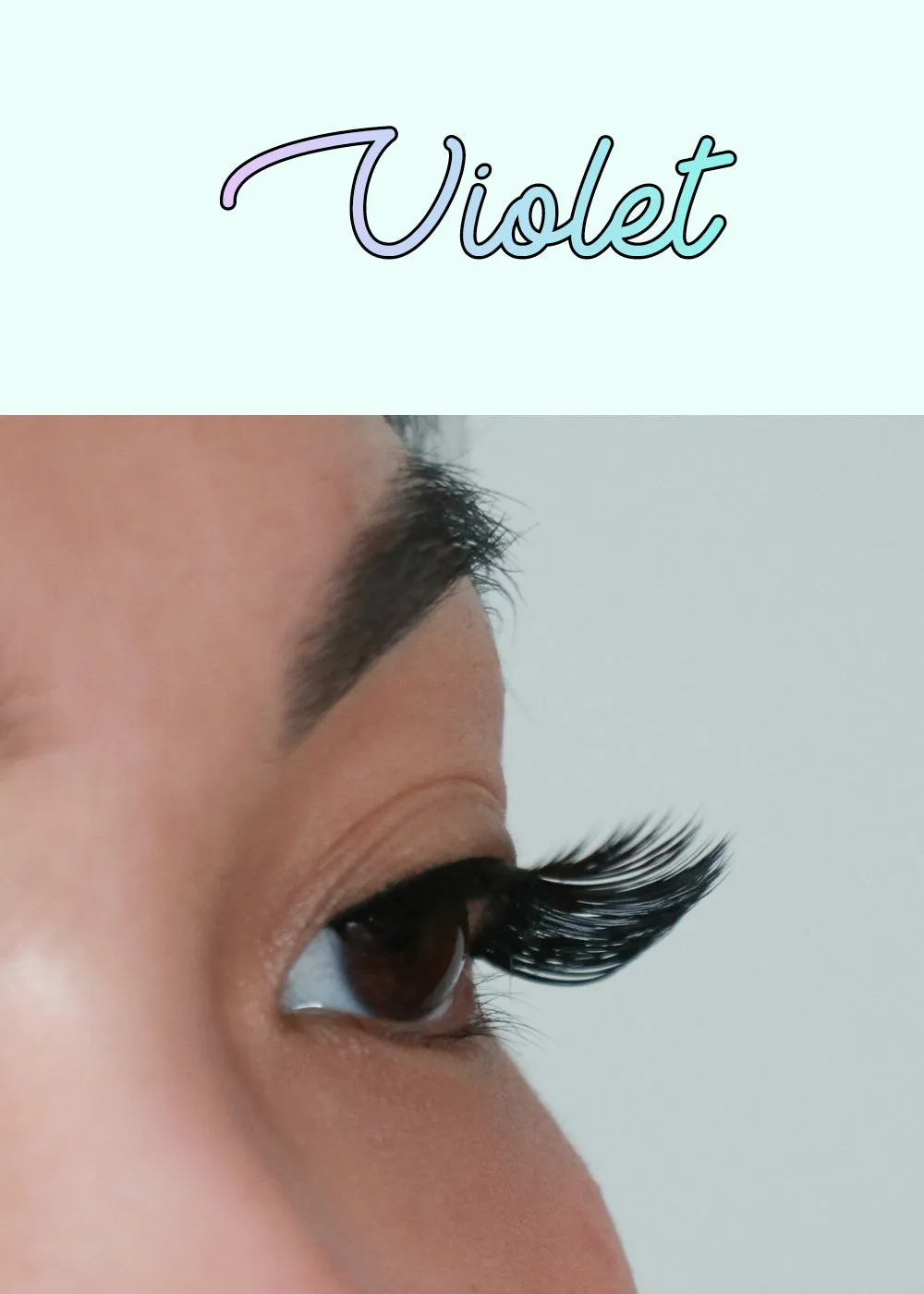 AOA Studio Eyelashes - Violet
