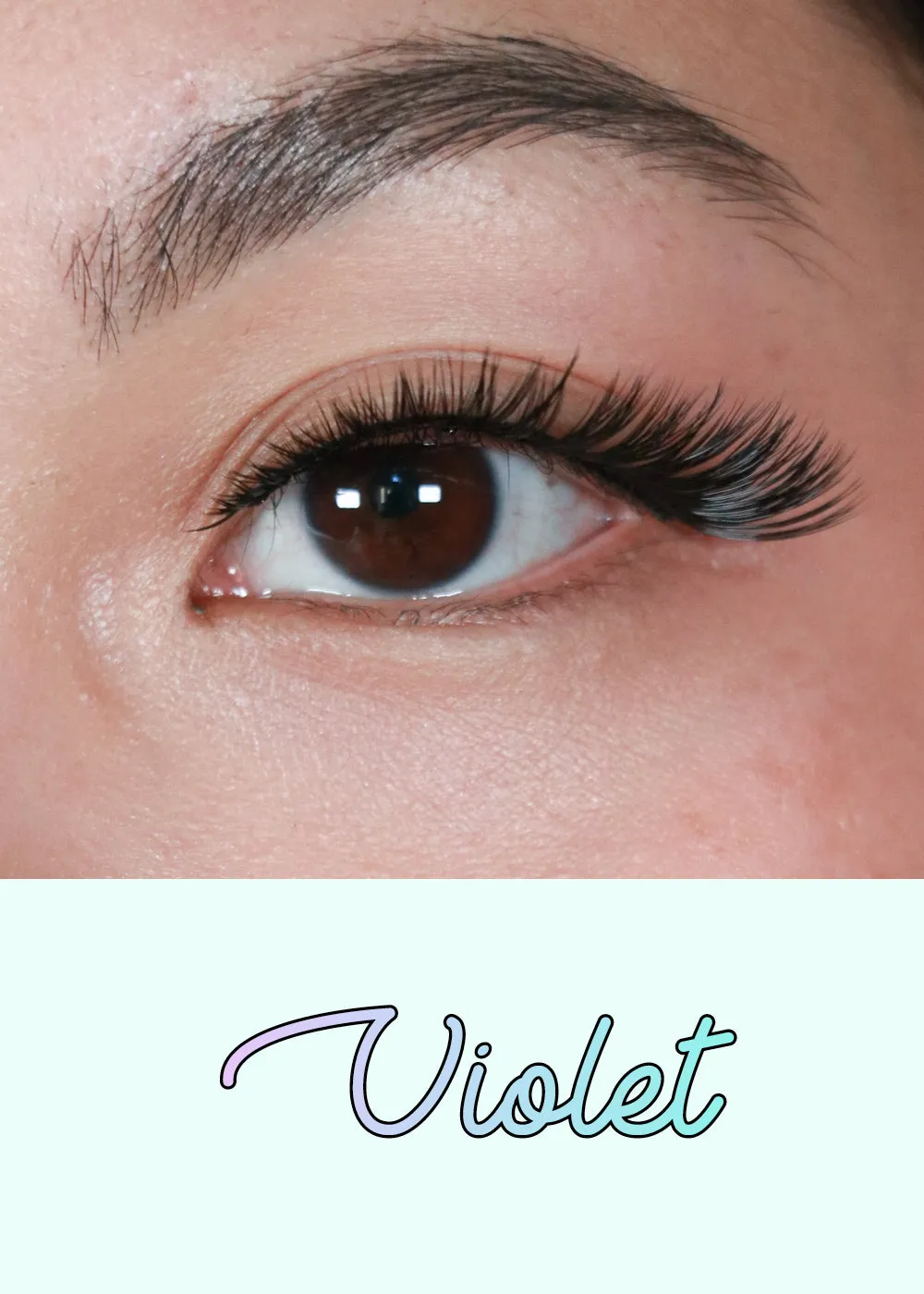 AOA Studio Eyelashes - Violet