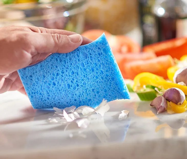 Biodegradable Sponges- 30 Pack
