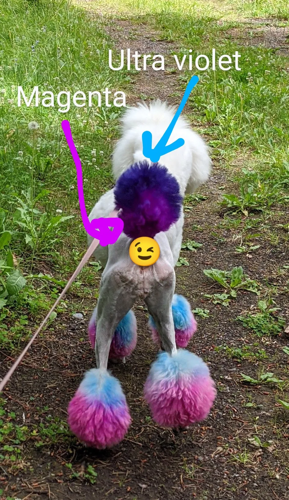 Crazy Liberty Dye