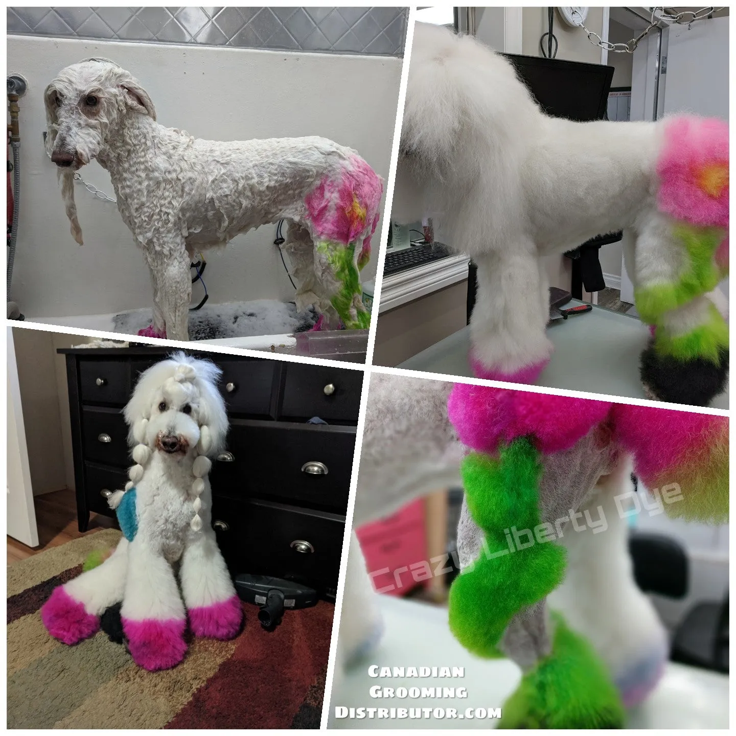 Crazy Liberty Dye