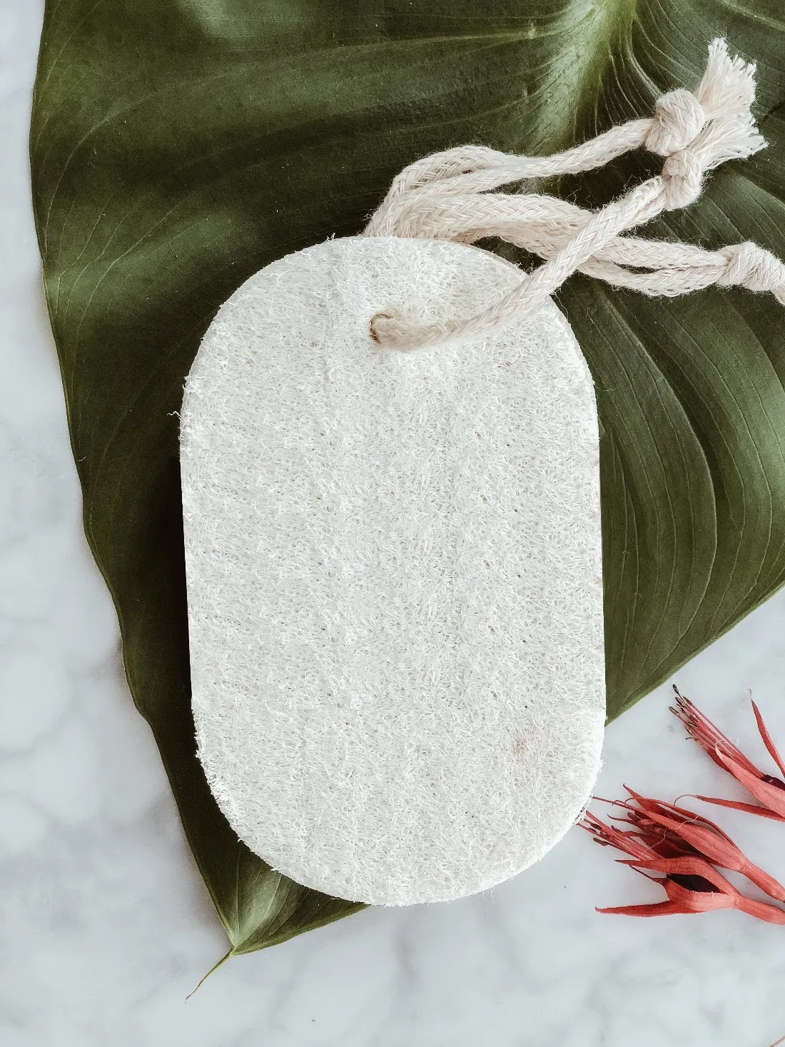 Natural Loofah Sponge - Pack of 2