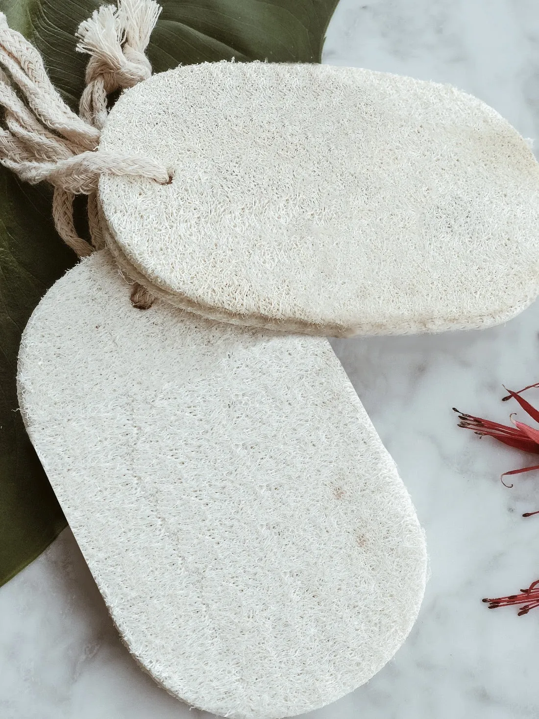 Natural Loofah Sponge - Pack of 2