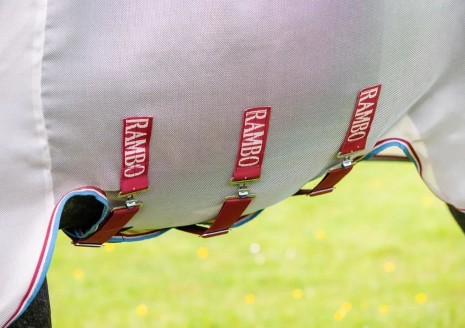 Rambo Protector Fly Rug Disc Front
