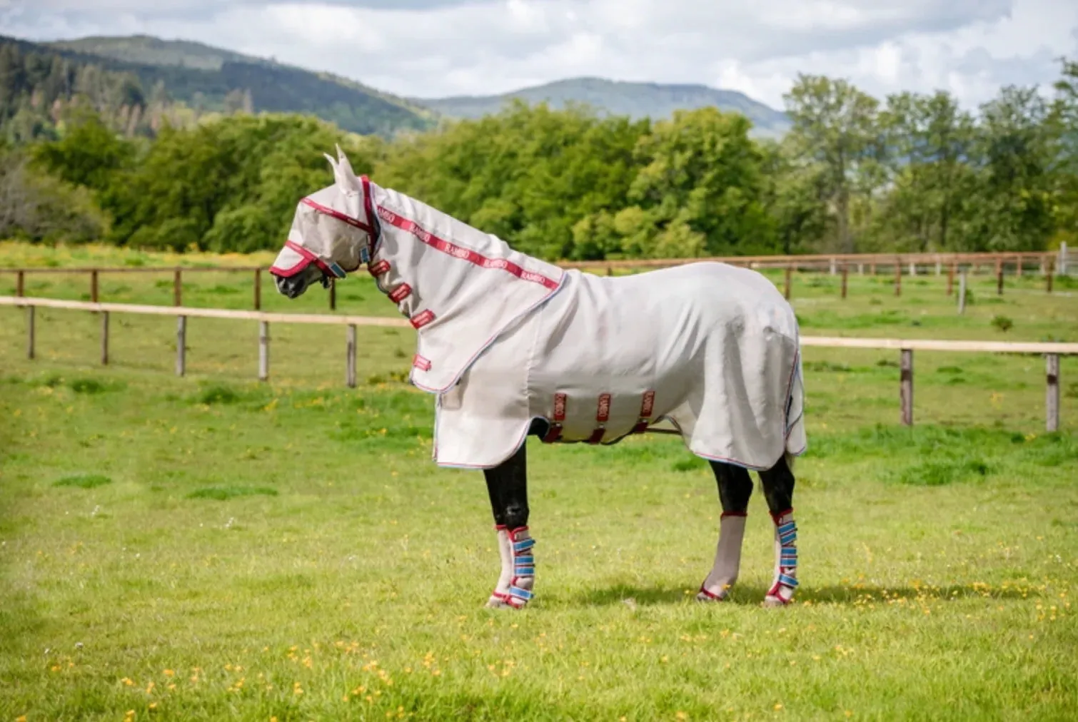 Rambo Protector Fly Rug Disc Front